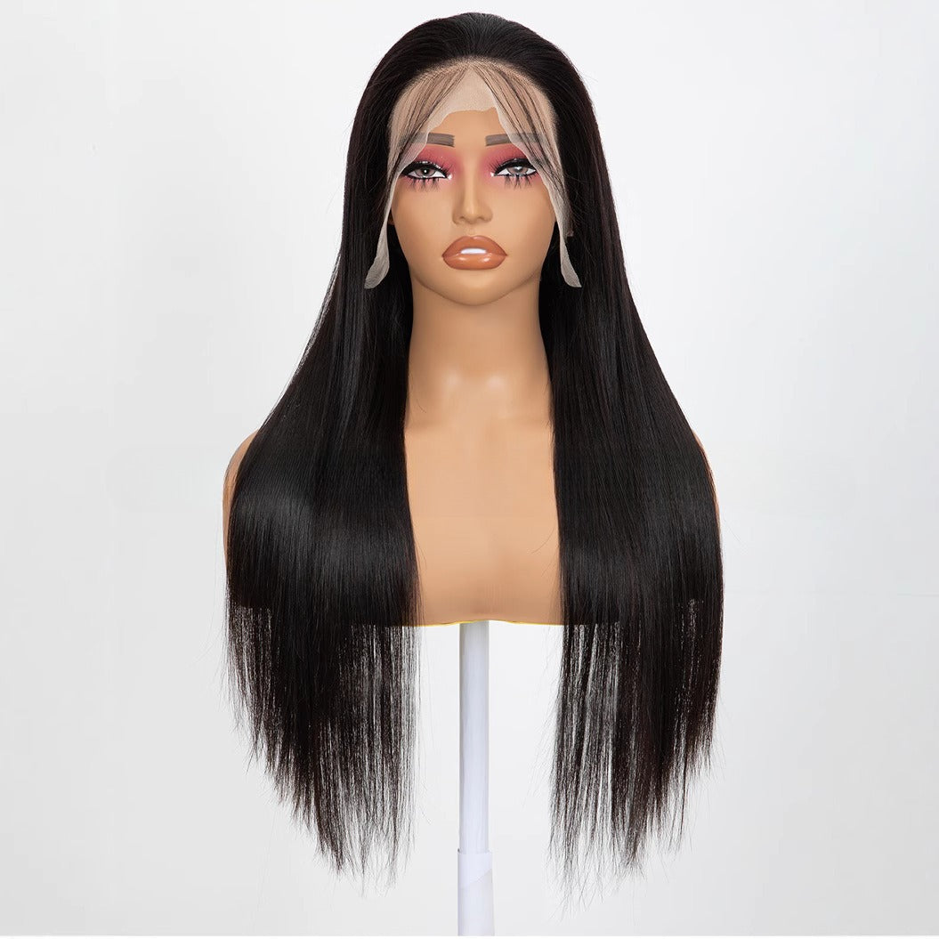 Lace Front Full Head Wigs Double Weft Long Straight Synthetic Hair Extensions